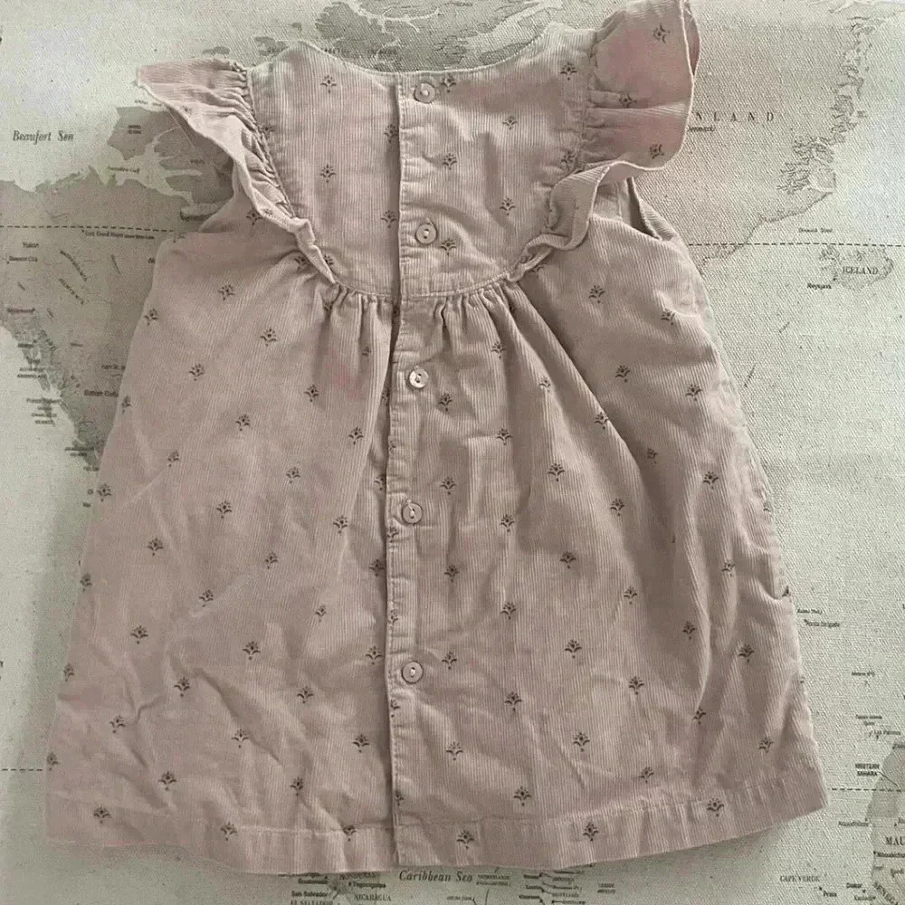 ZARA 6-9Mo Pink Floral Corduroy Dress - Picture 4 of 4